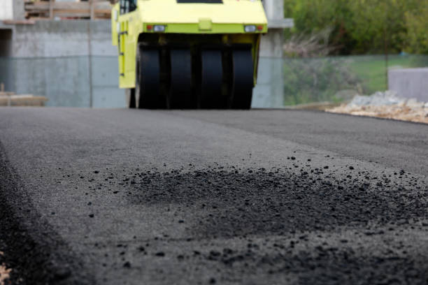 Best Driveway Paving Contractor  in Old Fig Garden, CA